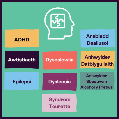 Beth yw niwroamrywiaeth